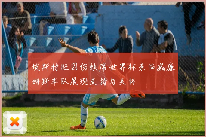 埃斯特旺因伤缺席世界杯亲临威廉姆斯车队展现支持与关怀